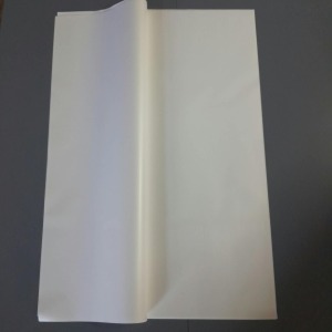 Tek Renk Açık Krem Mat Kağıt